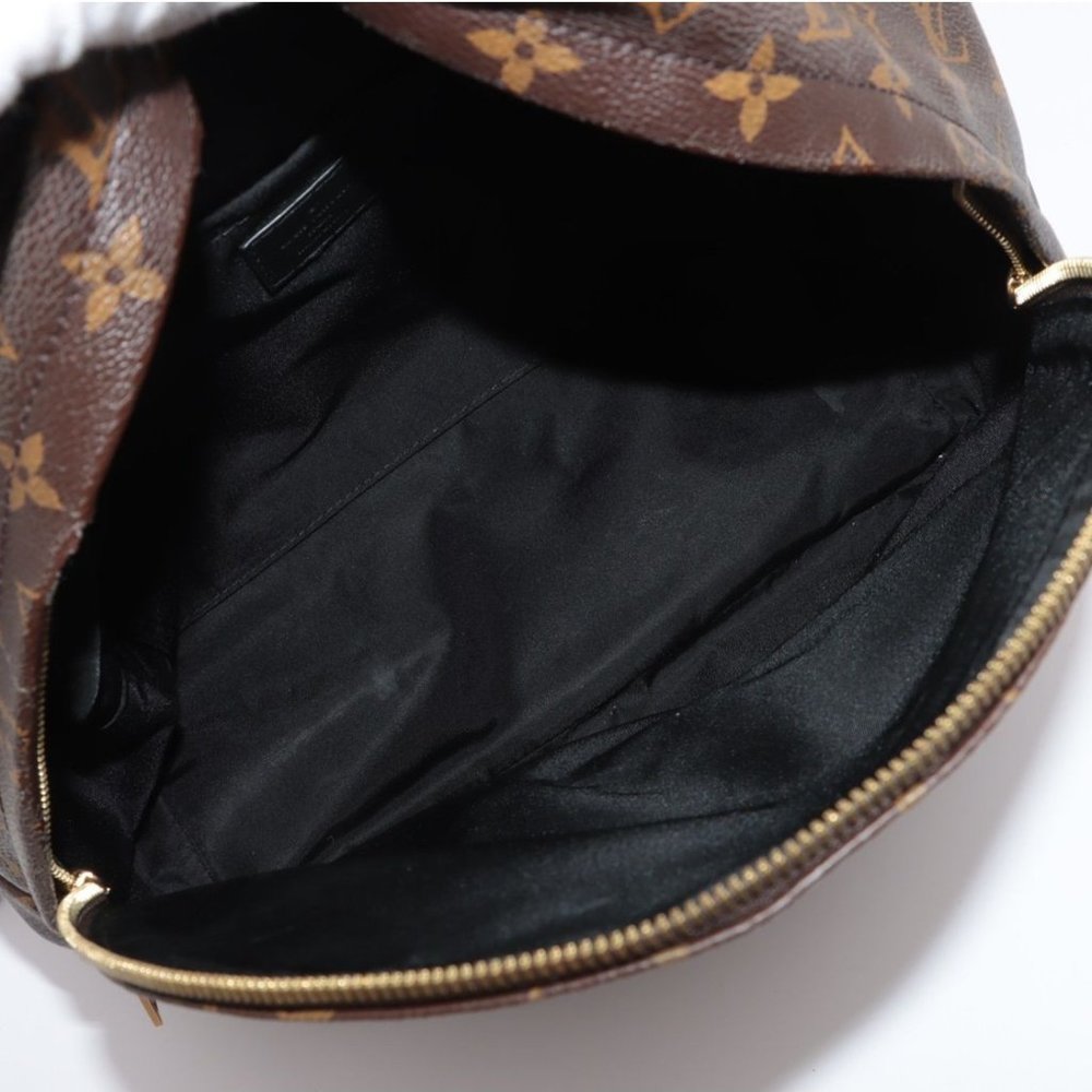 Louis Vuitton Palm Springs MM Monogram Backpack - Picture 9 of 16